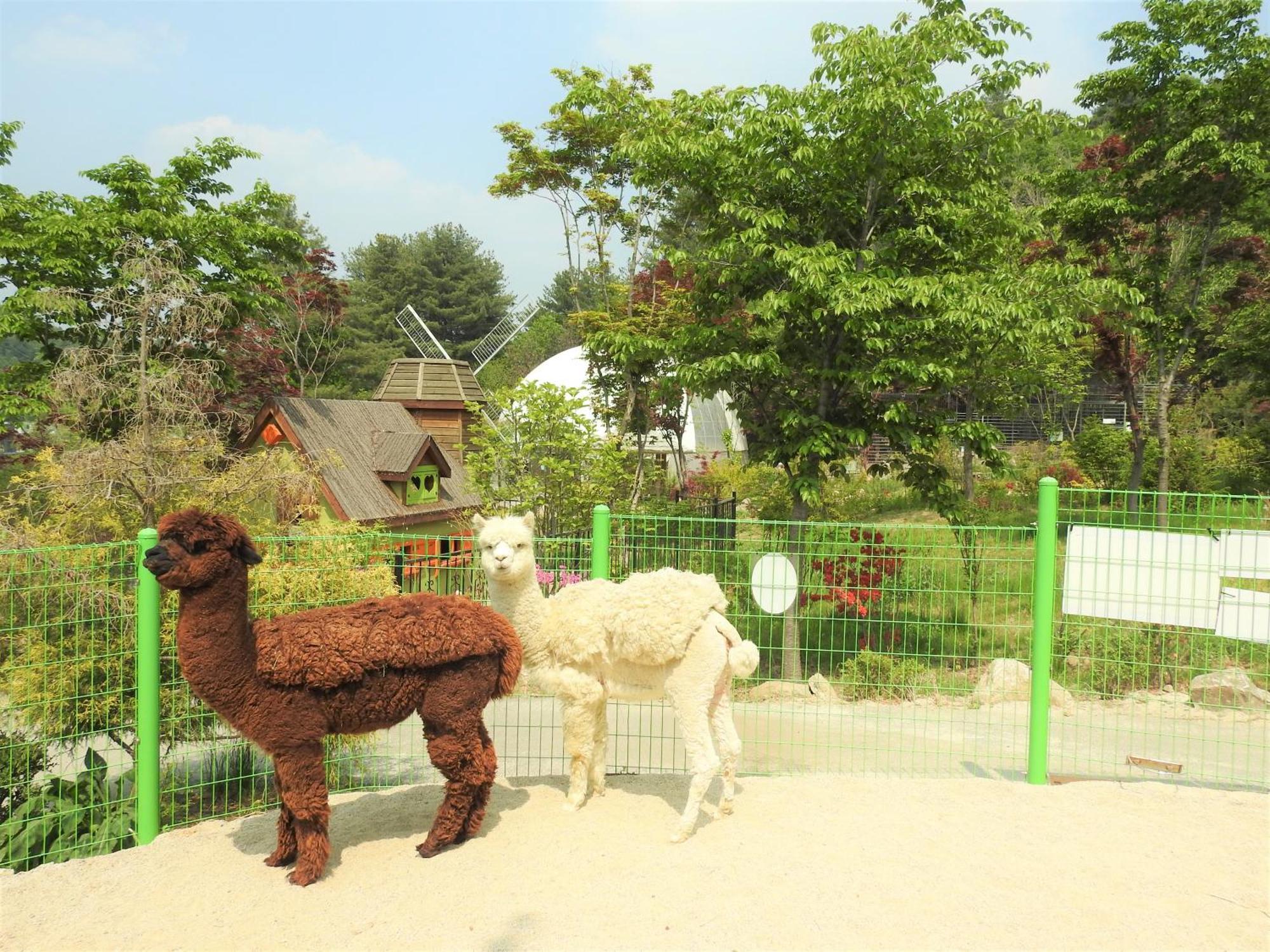 Kensington Resort Gapyeong Ngoại thất bức ảnh